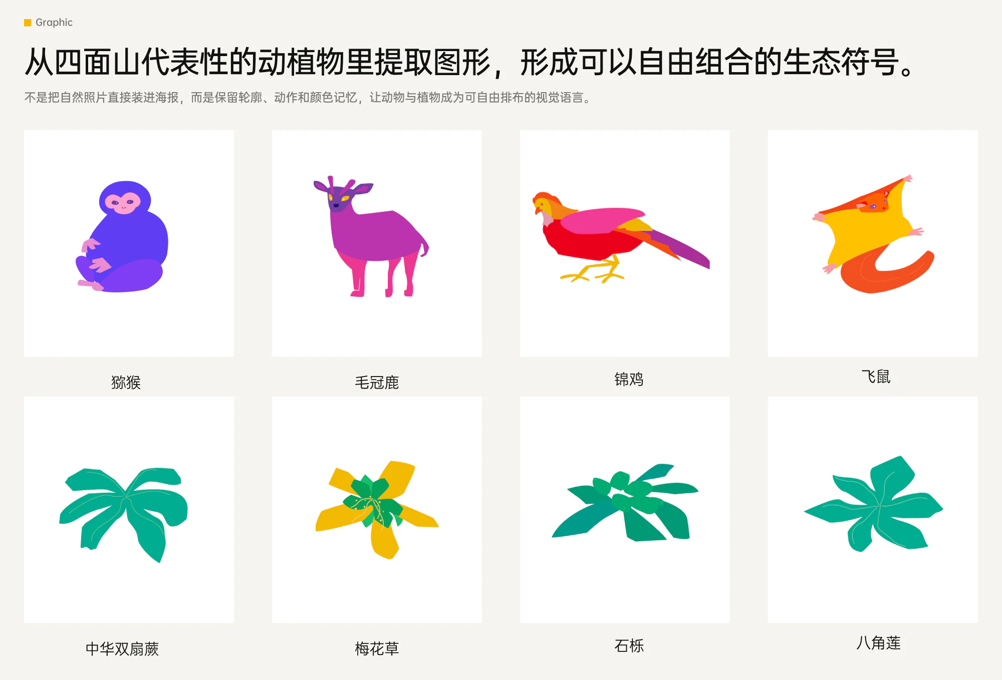 四面山视觉设计展示 5